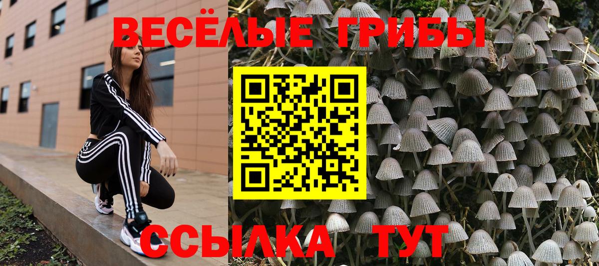 Галлюциногенные грибы ЛСД  Псилоцибиновые грибы прущие грибы  Вход с VPN  Трёхгорный 